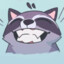 Raccoon!