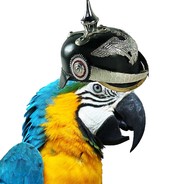 [QUAP] Prussian Parrot