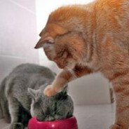 ming_668爱崔玉婷一万年