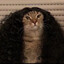 SevenShinx
