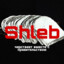 Shleb