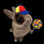 Funny Bunny