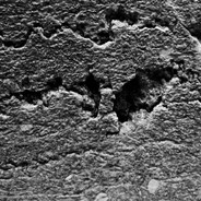 这高地死了我们猴子怎么守