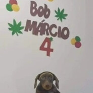 Bob Márcio