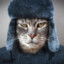 mr.alexapp