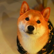 迪迪迪大魔王