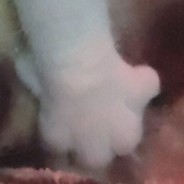 重生之我是秒倒怪