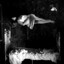 callisto