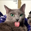 lu