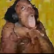 TuffSigmaMasterMango