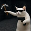 Achille Peregarro's avatar