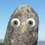 Calhau com Olhos