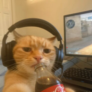 Japa - steam id 76561199046991174