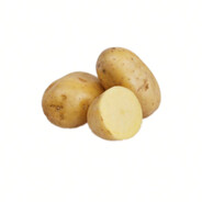 西伯利亚大土豆