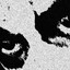 tyrroro's avatar