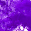 Roxo