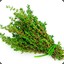 Big Thyme