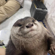 あなたは小さなものを