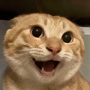 奥利利利利利奥