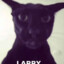 Larry.