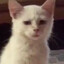 Gattsberk