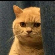 弱势角色张小卓