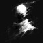 Binary star Gluttony