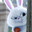 WhyBunny