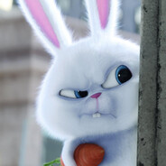 WhyBunny