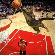 CatCanBawl avatar