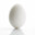 Not Egg