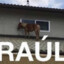 raúl the horse
