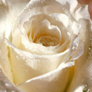 JagriiGang_-November