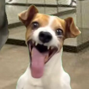 LeoLight - steam id 76561198226283476