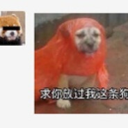 大师杨是我的老板