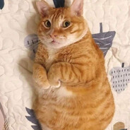 pilot КСЮША ЖИРОВА