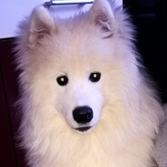 blondi0667
