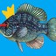 Panfish Overlord