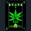 Kush Duude
