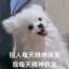 不语知秋