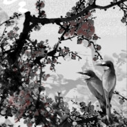 今天小张喜欢自己了嘛