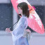 风潇潇兮