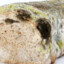 PlesnivyChlebaSeSalamem