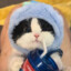 青菜