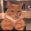 Mewing