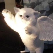 渴了你喝水掰我腿干嘛