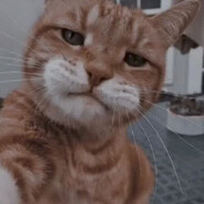 ARES - steam id 76561198775831322