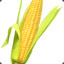 cornhub