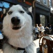 一枪秒了有什么好说的