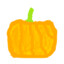 Pumkin